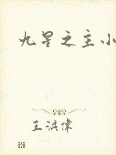 九星之主小说
