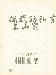 总裁的私有宝贝 暮山紫封面