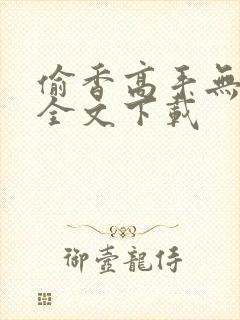 偷香高手无删减全文下载封面