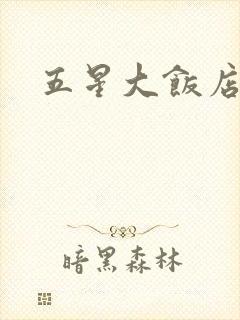 五星大饭店小说