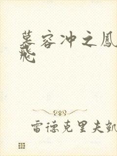 慕容冲之凤凰于飞封面