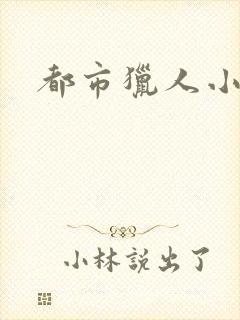 都市猎人小说封面