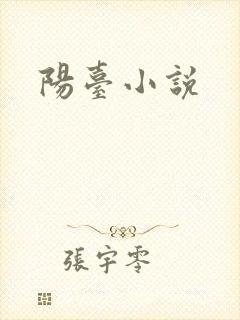 阳台小说封面