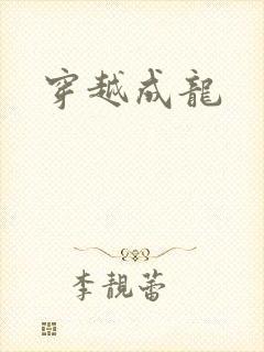 穿越成龙封面