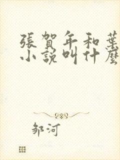 张贺年和叶繁姿小说叫什么名字