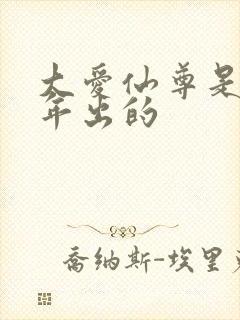 大爱仙尊是哪一年出的