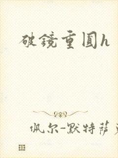 破镜重圆h