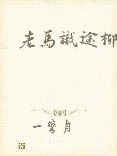 老马识途柳娇娇