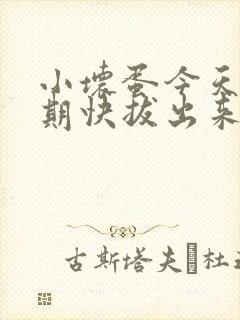 小坏蛋今天危险期快拔出来