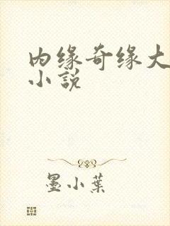 内缘奇缘大团圆小说
