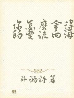 你怎么舍得让我的爱流向海