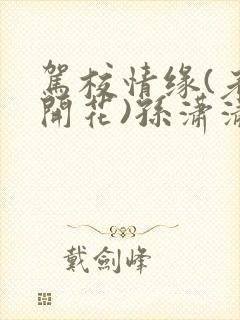 驾校情缘(老树开花)孙潇潇第一次趣笔阁封面