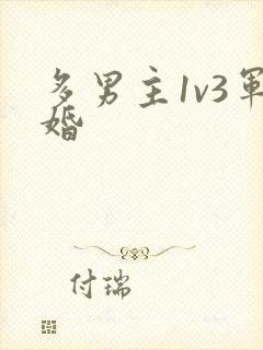 多男主1v3军婚封面