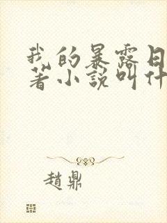 我的暴露日记原著小说叫什么