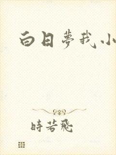 白日梦我小说