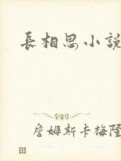 长相思小说原著