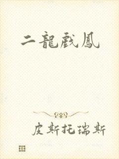 二龙戏凤