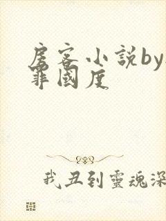 房客小说by无罪国度