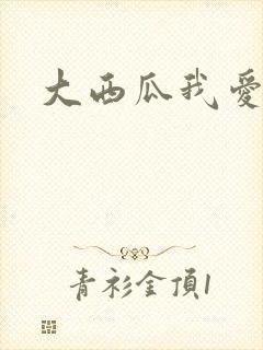 大西瓜我爱你封面
