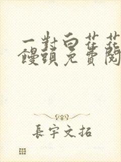 一对白花花的大馒头免费阅读