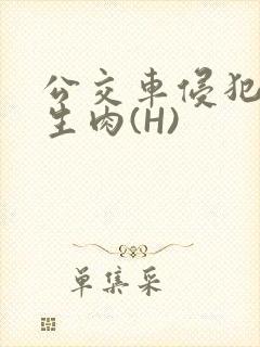 公交车侵犯小男生肉(H)