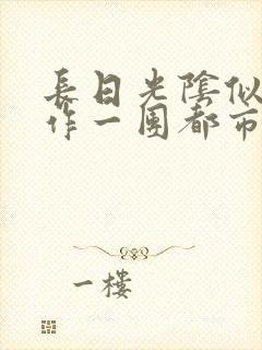 长日光阴似箭乱作一团都市言情封面