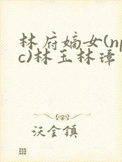 林府嫡女(npc)林玉林璋