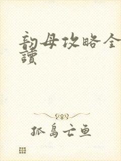 韵母攻略全文阅读封面