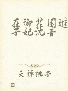 在御花园进入太子妃沈音