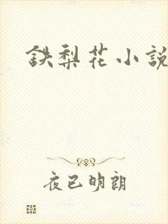 铁梨花小说