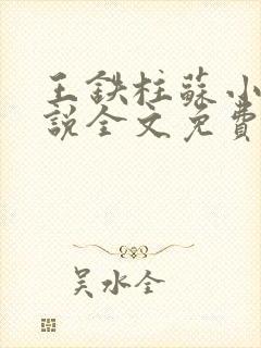 王铁柱苏小汐小说全文免费阅读最新章节