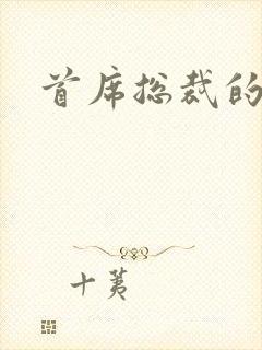 首席总裁的逃妻