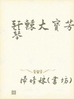 轩辕大宝芳菲雅琴