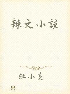辣文小说