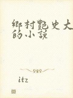 乡村艳史大肉榛的小说