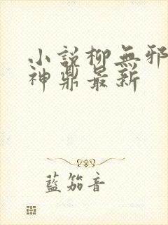 小说柳无邪吞天神鼎最新封面