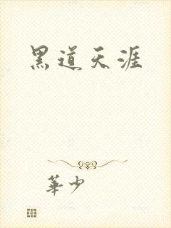 黑道天涯封面
