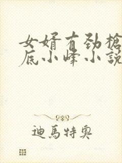 女婿有劲枪枪到底小峰小说封面