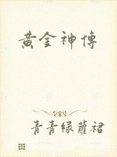 黄金神传封面