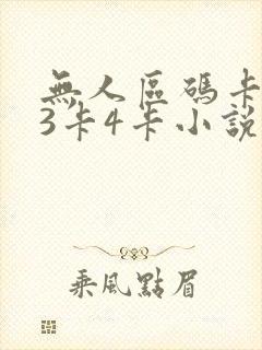 无人区码卡二卡3卡4卡小说封面