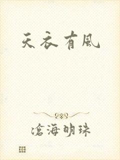 天衣有风封面