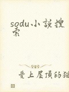 sodu小说搜索
