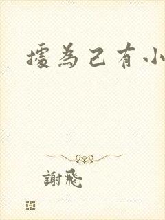 据为己有小说封面