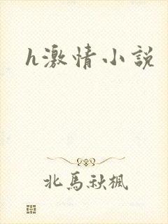h激情小说