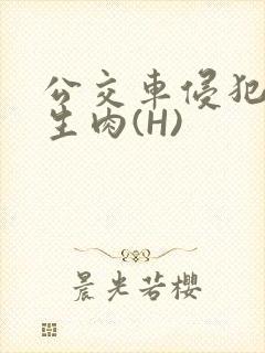 公交车侵犯小男生肉(H)