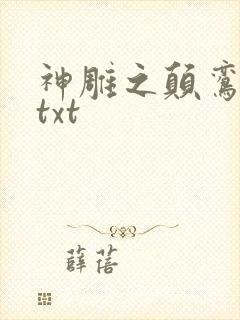 神雕之颠鸾倒凤txt封面