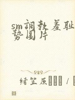 sm调教羞耻姿势图片