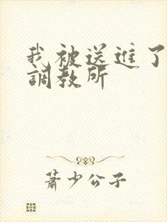 我被送进了私奴调教所