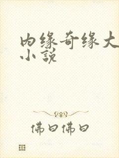 内缘奇缘大团圆小说