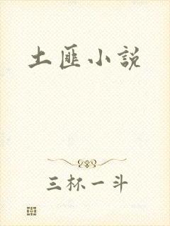 土匪小说